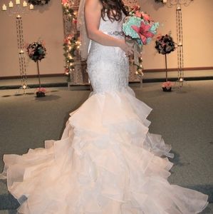 Wedding Dress with Vail and Sash